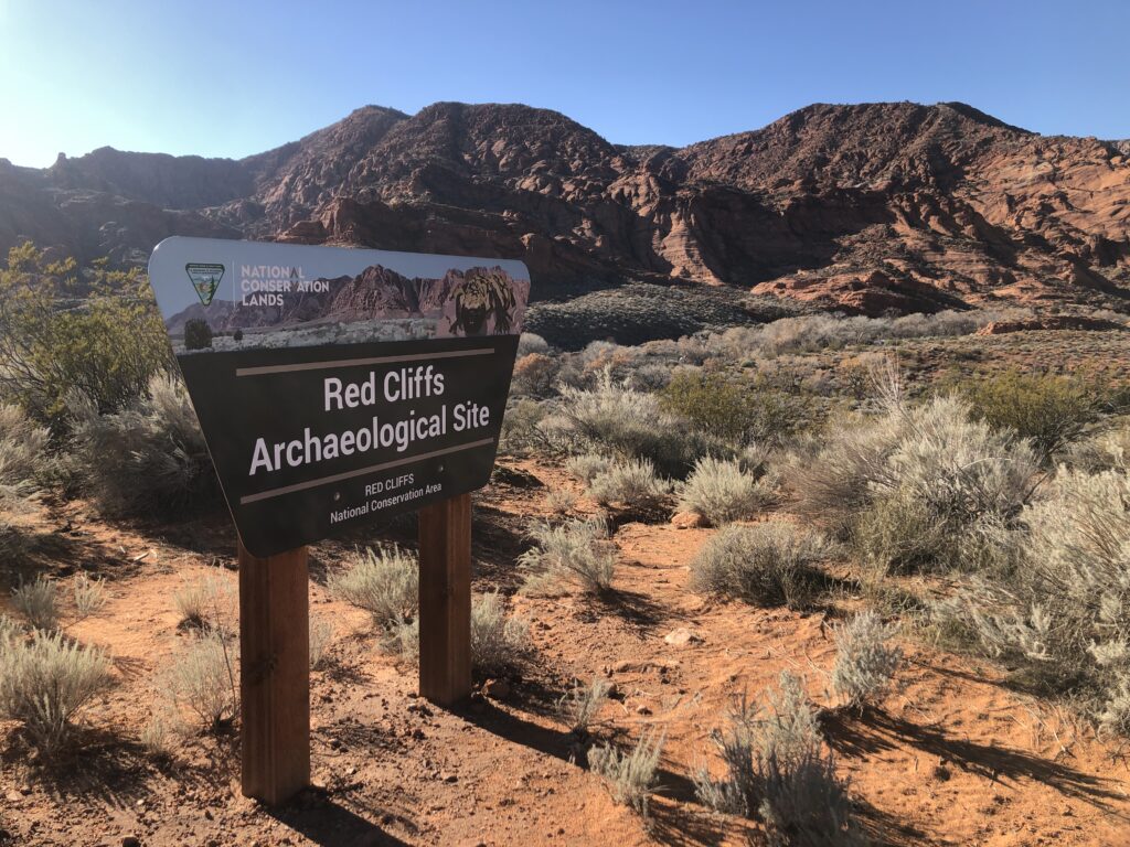Red Cliffs National Conservation Area